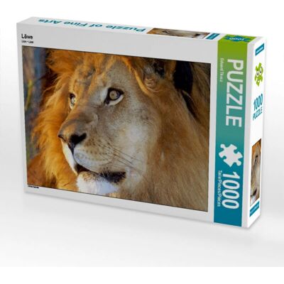 Calvendo - Lion - 1000 Piezas - 64 x 48 cm - Puzzle Calvendo - Lion - 1000 Piezas - 64 x 48 cm - Puzzle