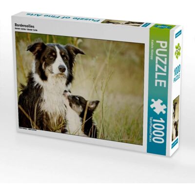 CALVENDO - 4059478232709 - Bordercollies - rompecabezas CALVENDO - 4059478232709 - Bordercollies - rompecabezas