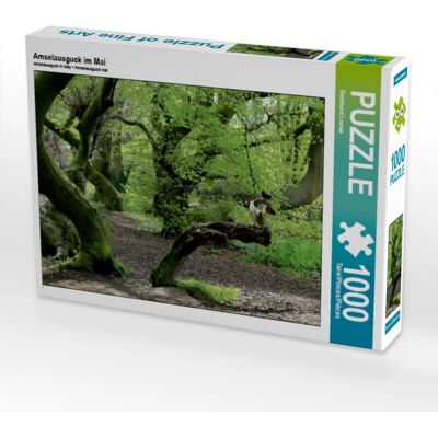 Calvendo 4059478339255 1000 piezas Puzzle Calvendo 4059478339255 1000 piezas Puzzle