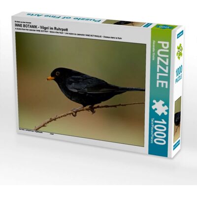 Calvendo - INNE BOTANIK - 1000 Teile - 64 x 48 cm - Puzzle Calvendo - INNE BOTANIK - 1000 Teile - 64 x 48 cm - Puzzle