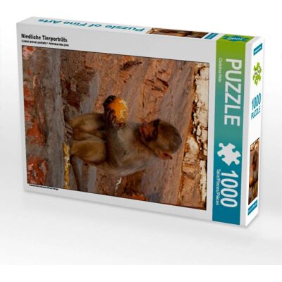 Calvendo - Carino Animali Ritratti - 1000 Piezas - Puzzle Calvendo - Carino Animali Ritratti - 1000 Piezas - Puzzle