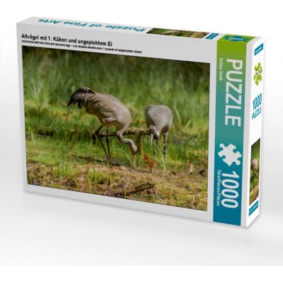 CALVENDO - 4059478426641 - 1000 pezzi CALVENDO - 4059478426641 - 1000 pezzi