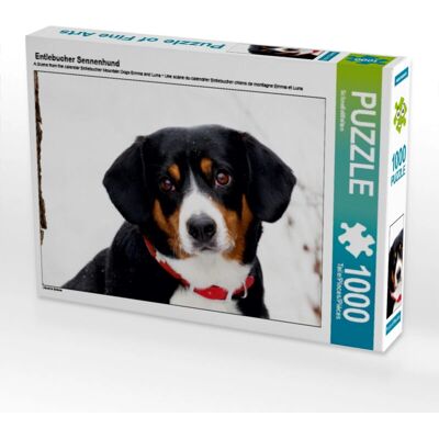 CALVENDO - 4059478433328 - 1000-pezzi - 64x48 cm - Puzzle CALVENDO - 4059478433328 - 1000-pezzi - 64x48 cm - Puzzle