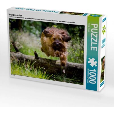 CALVENDO - Briard en Action - 1000 Piezas - Rompecabezas CALVENDO - Briard en Action - 1000 Piezas - Rompecabezas