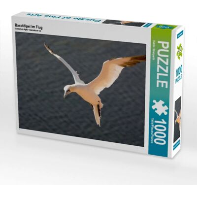 Calvendo - Fous de Bassan en vol - 64 x 48 cm - 1000pc - Puzzle Calvendo - Fous de Bassan en vol - 64 x 48 cm - 1000pc - Puzzle