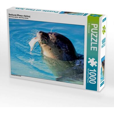 Calvendo - Seehund (Phoca vitulina) 1000 Teile - Puzzle Calvendo - Seehund (Phoca vitulina) 1000 Teile - Puzzle