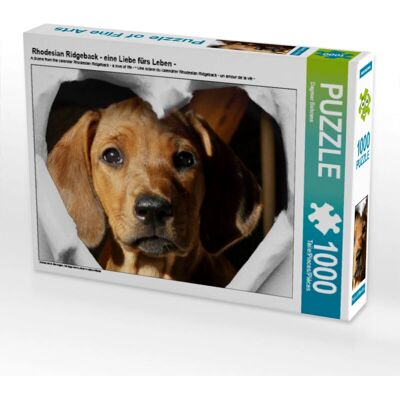 Calvendo - Rhodesian Ridgeback - 1000 piezas - Puzzle Calvendo - Rhodesian Ridgeback - 1000 piezas - Puzzle