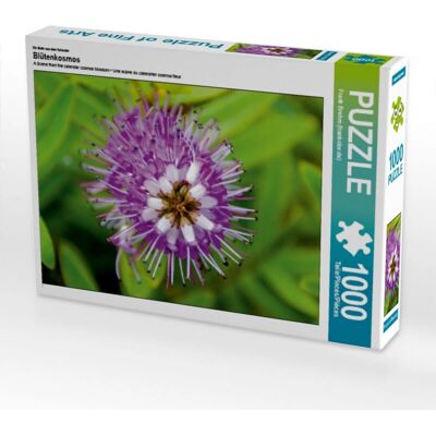 CALVENDO - Cosmos de Fleurs - 1000 piezas - Rompecabezas CALVENDO - Cosmos de Fleurs - 1000 piezas - Rompecabezas