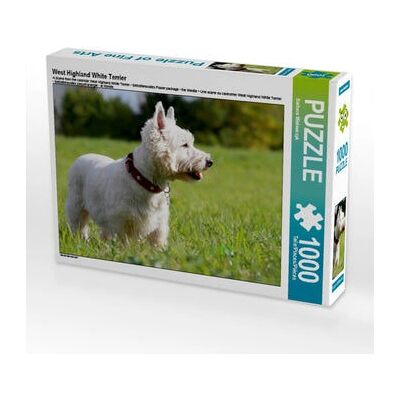 CALVENDO - West Highland White Terrier - 1000 pièces - Puzzle - Publicité CALVENDO - West Highland White Terrier - 1000 pièces - Puzzle - Publicité