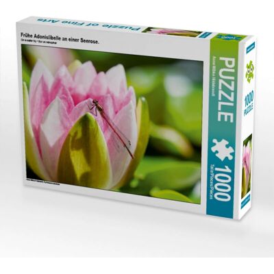 CALVENDO - 4059478589209 - 1000 pezzi - 64 x 48 cm - Puzzle CALVENDO - 4059478589209 - 1000 pezzi - 64 x 48 cm - Puzzle