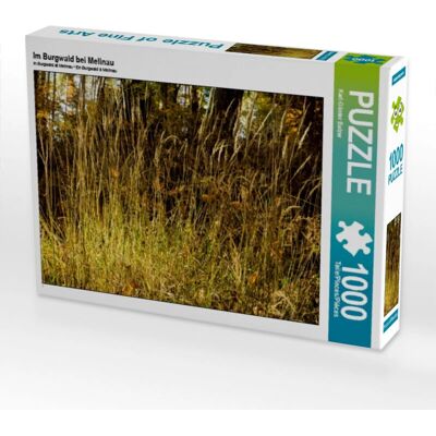 CALVENDO - 4059478637870 - 1000 pezzi - Scena forestale - Puzzle CALVENDO - 4059478637870 - 1000 pezzi - Scena forestale - Puzzle