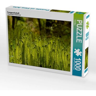 CALVENDO - Société des fougères - 1000 pezzi - Puzzle CALVENDO - Société des fougères - 1000 pezzi - Puzzle