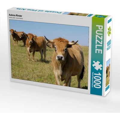 CALVENDO - 4059478645929 - Aubrac-Rinder - Puzzle - Publicité CALVENDO - 4059478645929 - Aubrac-Rinder - Puzzle - Publicité