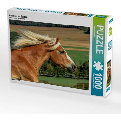 CALVENDO - Haflinger au Galop 1000 Pezzi - Puzzle CALVENDO - Haflinger au Galop 1000 Pezzi - Puzzle