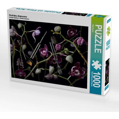 CALVENDO - Orchidea diapasona - 64 x 48 cm - Puzzle CALVENDO - Orchidea diapasona - 64 x 48 cm - Puzzle