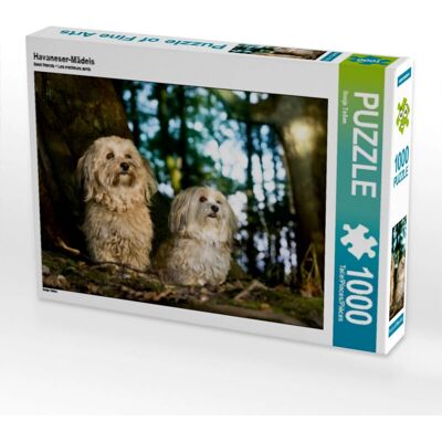 CALVENDO - 4059478683815 - 1000 Pièces - Puzzle - Publicité CALVENDO - 4059478683815 - 1000 Pièces - Puzzle - Publicité