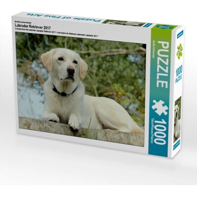 CALVENDO - Labrador Retriever 2017 1000 - 64 x 48 cm - Rompicapo CALVENDO - Labrador Retriever 2017 1000 - 64 x 48 cm - Rompicapo