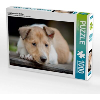 CALVENDO - Puzzle Chiot Collie - 64 x 48 cm - Puzzle CALVENDO - Puzzle Chiot Collie - 64 x 48 cm - Puzzle