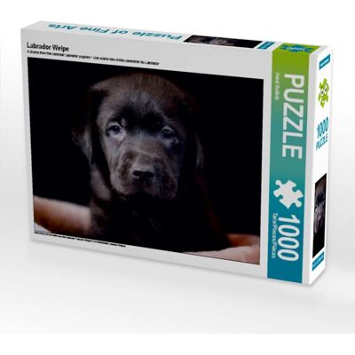 CALVENDO - Labrador Puppy - 1000 Piezas - 64 x 48 cm - Rompecabezas CALVENDO - Labrador Puppy - 1000 Piezas - 64 x 48 cm - Rompecabezas