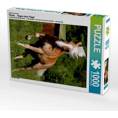 CALVENDO 4059478916449 - 1000 darab - Puzzle CALVENDO 4059478916449 - 1000 darab - Puzzle