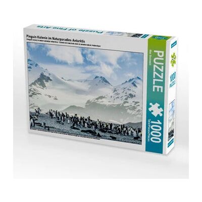 CALVENDO - Pinguin Kolonie - Antarctica - 1000 - Puzzle CALVENDO - Pinguin Kolonie - Antarctica - 1000 - Puzzle