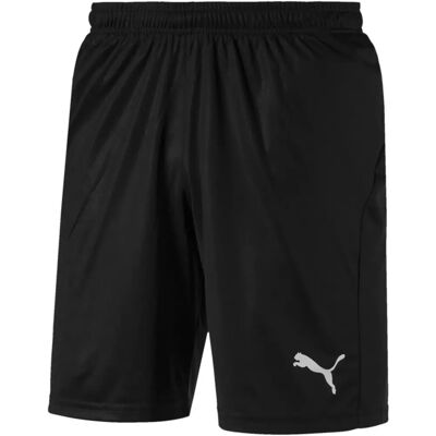 PUMA Men Liga Shorts Core with Brief - Shorts PUMA Men Liga Shorts Core with Brief - Shorts
