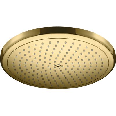 Hansgrohe Croma 280mm Gouden Douchekop - Douche Type Hansgrohe Croma 280mm Gouden Douchekop - Douche Type