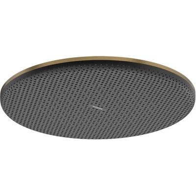Hansgrohe Raindance Alive S Brushed Bronze Cap de duș - Cap de duș Hansgrohe Raindance Alive S Brushed Bronze Cap de duș - Cap de duș