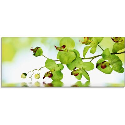 ARTLAND Grüne Orchidee Glasbild - Blumen Wandkunst ARTLAND Grüne Orchidee Glasbild - Blumen Wandkunst