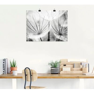 ARTLAND - Pusteblume in schwarzweiß - 40x30 cm - Wandbild ARTLAND - Pusteblume in schwarzweiß - 40x30 cm - Wandbild