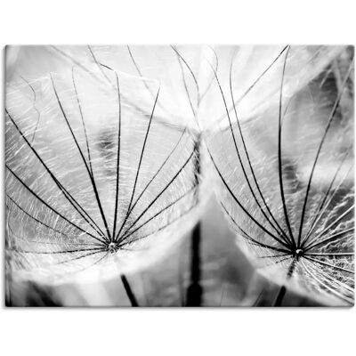 ARTLAND Schwarzweiß Pusteblume Wandbild - Wanddekoration ARTLAND Schwarzweiß Pusteblume Wandbild - Wanddekoration
