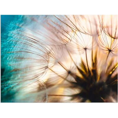 ARTLAND - Pusteblume Makro abstrakt - Beige - Wandbilddruck ARTLAND - Pusteblume Makro abstrakt - Beige - Wandbilddruck