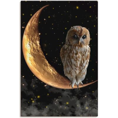 ARTLAND - Nachteule - 20x30 cm - Leinwandbild - Wandbild ARTLAND - Nachteule - 20x30 cm - Leinwandbild - Wandbild