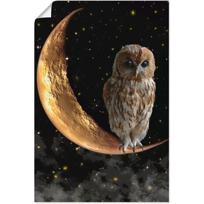 ARTLAND - Nachteule - beige - Alu-Dibond Wall Art ARTLAND - Nachteule - beige - Alu-Dibond Wall Art