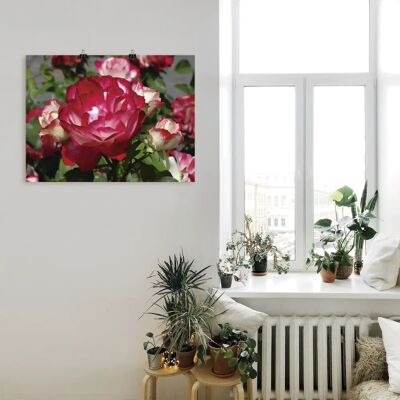 ARTland - Rot weiße Rosenblüte - Beige - Wandbild ARTland - Rot weiße Rosenblüte - Beige - Wandbild