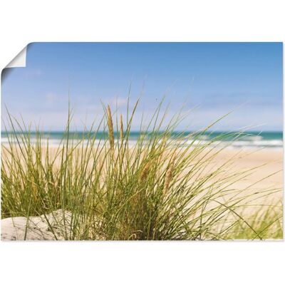 ARTLAND Dünengras - 70x50 cm - Beige - Wandbild ARTLAND Dünengras - 70x50 cm - Beige - Wandbild