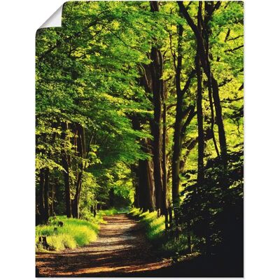 ARTLAND - Weg im Wald - Grün - 60x80 cm - Wall art ARTLAND - Weg im Wald - Grün - 60x80 cm - Wall art