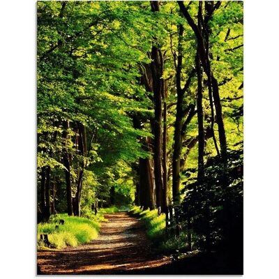 ARTLAND Weg im Wald - Grünes Wandbild - Glasbild ARTLAND Weg im Wald - Grünes Wandbild - Glasbild