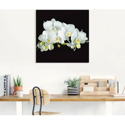 ARTLAND - Weiße Orchidee auf schwarzem Hintergrund - 30x30 cm ARTLAND - Weiße Orchidee auf schwarzem Hintergrund - 30x30 cm