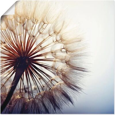 ARTLAND - Große Pusteblume - Blau - 30x30 cm - Wall Art ARTLAND - Große Pusteblume - Blau - 30x30 cm - Wall Art