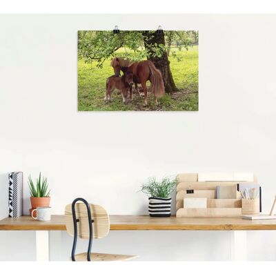 ARTLAND Pony - Mutterglück - 60x40 cm - Alu-Dibond - Wandbild ARTLAND Pony - Mutterglück - 60x40 cm - Alu-Dibond - Wandbild
