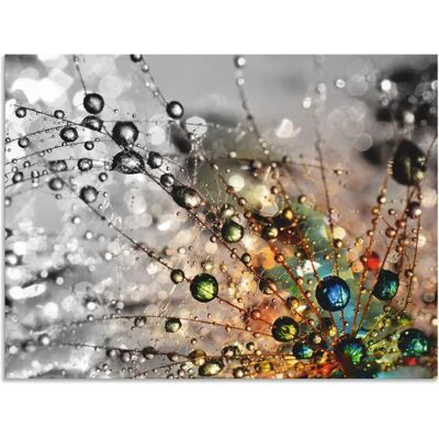 ARTLAND Farbenfrohe Natur - Blumen - 80x60cm - Wandbild ARTLAND Farbenfrohe Natur - Blumen - 80x60cm - Wandbild