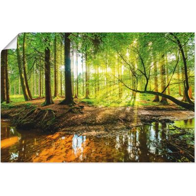 ARTLAND - Wald mit Bach - Grün - 90x60 cm - Wandbild ARTLAND - Wald mit Bach - Grün - 90x60 cm - Wandbild