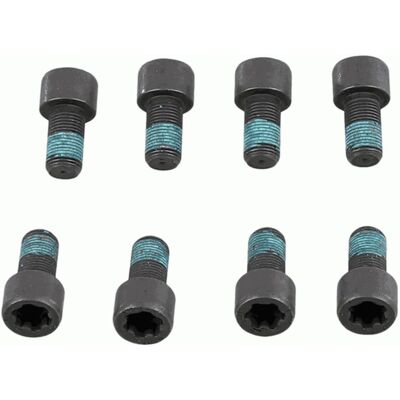 SACHS 1874 000 078 Visserie pour volant moteur - 8 pièces SACHS 1874 000 078 Visserie pour volant moteur - 8 pièces