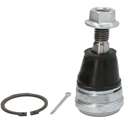 MOOG Articolazione Braccio di Controllo FD-BJ-15569 - Articolazione braccio di controllo per Ford Ranger Mk3 MOOG Articolazione Braccio di Controllo FD-BJ-15569 - Articolazione braccio di controllo per Ford Ranger Mk3