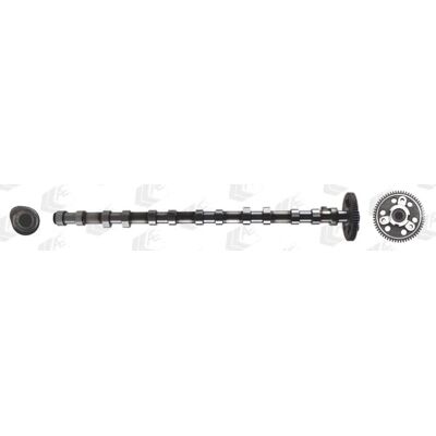 AE CAM1016 Nockenwelle für BMW - OEM 11317791579 AE CAM1016 Nockenwelle für BMW - OEM 11317791579