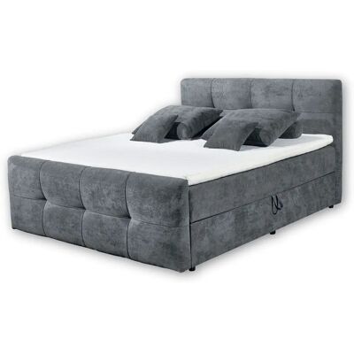 ED EXCITING DESIGN Winnipeg Microvelours - Boxspringbett ED EXCITING DESIGN Winnipeg Microvelours - Boxspringbett