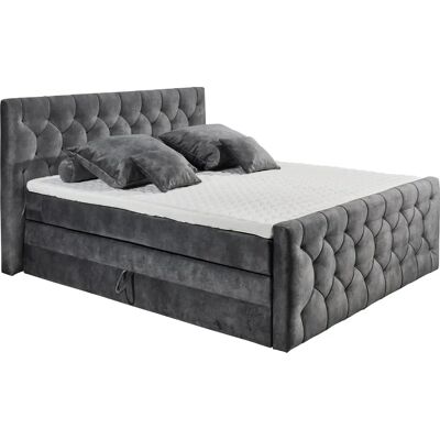 ED EXCITING DESIGN Cashfield Microvelours Boxspringbett - Boxspringbett ED EXCITING DESIGN Cashfield Microvelours Boxspringbett - Boxspringbett