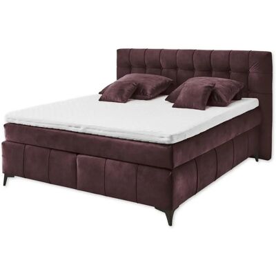 ED EXCITING DESIGN Oregon Boxspringbett - Microvelours, 180x200 cm ED EXCITING DESIGN Oregon Boxspringbett - Microvelours, 180x200 cm