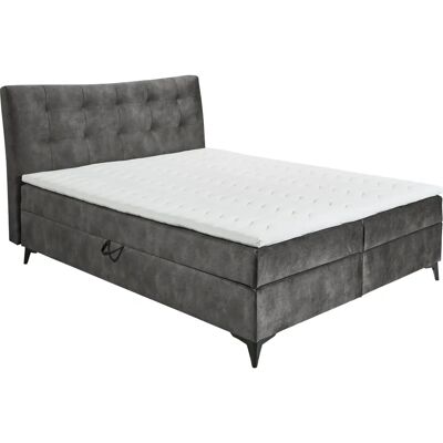 ED EXCITING DESIGN Melrose Microvelours Bett - Boxspringbett ED EXCITING DESIGN Melrose Microvelours Bett - Boxspringbett